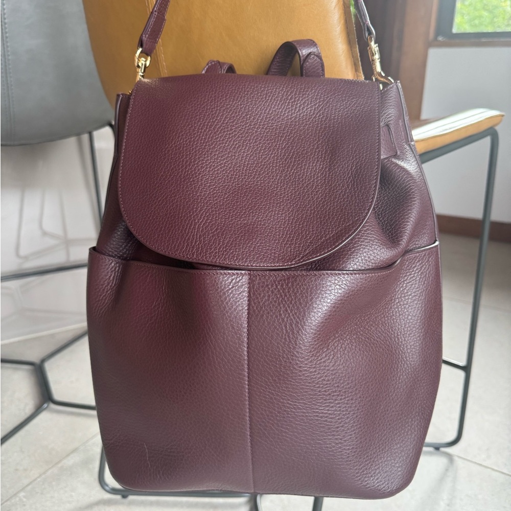Cuyana Burgundy Leather Backpack